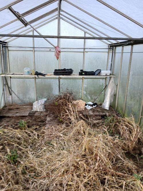 te koop  kas  5,80 x 3,20  (gedemonteerd), Tuin en Terras, Kassen, Gebruikt, Kweekkas, Staal, Glas, Ophalen