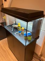 Juwel primo 70 LED + kast, Dieren en Toebehoren, Vissen | Aquaria en Toebehoren, Ophalen, Zo goed als nieuw, Leeg aquarium