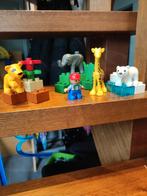 Duplo setje, Kinderen en Baby's, Speelgoed | Duplo en Lego, Duplo, Gebruikt, Ophalen of Verzenden