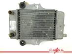 RADIATEUR Honda SES 150 Dylan (SES150) (01-1970/-) (614030), Gebruikt
