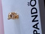 Pandora bedel Simba, Ophalen of Verzenden, Nieuw, Zilver, Pandora
