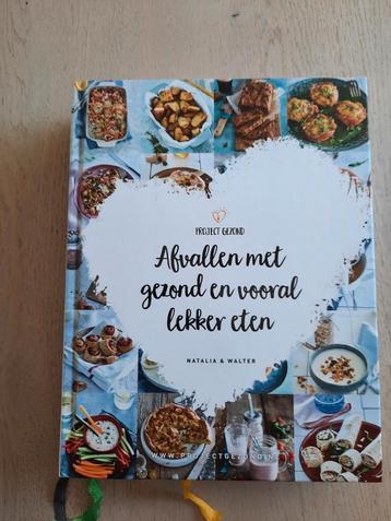 Project Gezond - Afvallen met gezond en vooral lekker eten  beschikbaar voor biedingen