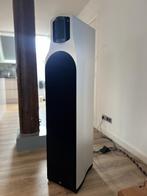 Vlaggenschip T+A TCI 1RE + Buizen Electrostatische Hogetoon, Audio, Tv en Foto, Zo goed als nieuw, 120 watt of meer, Front, Rear of Stereo speakers