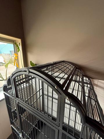 Ruime metalen papegaaienkooi met dakluik beschikbaar voor biedingen