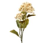 CLAYRE & EEF KUNST BESSEN TAK, Ophalen of Verzenden, Nieuw