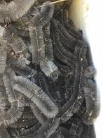 Dak en zonnen paneel borstels grote partij, Ophalen, Overige materialen, Nieuw, 15 m² of meer