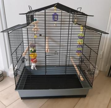 Mooie grote vogelkooi, zo goed als nieuw beschikbaar voor biedingen