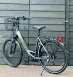 Pegasus Evo Bosch Cx Middemotor 500Wh, Overige merken, Ophalen of Verzenden, Zo goed als nieuw, 51 tot 55 cm