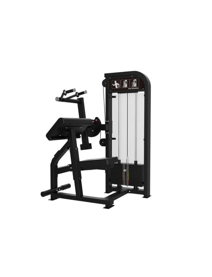 GYMFIT – CUSTOM-LINE – TRICEPS EXTENSION – C11, Sport en Fitness, Fitnessmaterialen, Nieuw, Overige typen, Armen, Benen, Borst