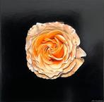 Schilderijen door fijnschilder John Wassenaar, Antiek en Kunst, Ophalen of Verzenden