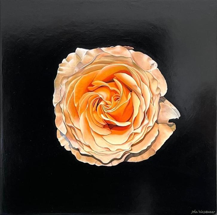 Schilderijen door fijnschilder John Wassenaar, Antiek en Kunst, Kunst | Schilderijen | Klassiek, Ophalen of Verzenden