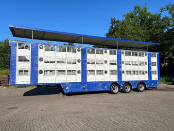 Finkl Livestock veewagen 1/2/3 stock (bj 2008) beschikbaar voor biedingen