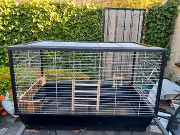 Hamsterkooi  beschikbaar voor biedingen