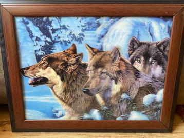 Wolf / 3 wolven 3D  holografisch print beschikbaar voor biedingen