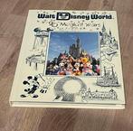Disney world 20 jaar boek, Ophalen of Verzenden
