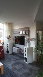 Roger 5.0 remo Luidsprekers, Audio, Tv en Foto, Luidsprekers, Gebruikt, 60 tot 120 watt, Front, Rear of Stereo speakers, Ophalen