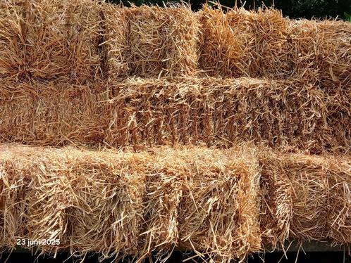 Kleine pakjes Tarwe Stro, Dieren en Toebehoren, Dierenvoeding, Ophalen of Verzenden
