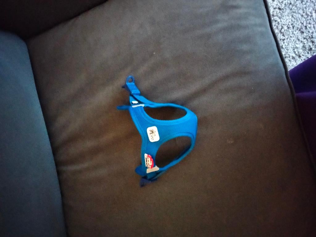 honden accessoires, Ophalen, Gebruikt