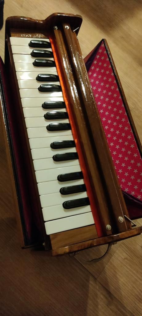 Dulcetina - portable harmonium, Muziek en Instrumenten, Orgels, Nieuw, Ophalen of Verzenden