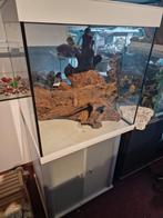 Volglas  aquarium  65x65x70 hoog inclusief  kap 595,00 euro, Aquariumbouwer, Nieuw, Ophalen of Verzenden, Leeg aquarium