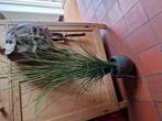 HOGE NEP PLANT 🌿 MET POT, Ophalen of Verzenden