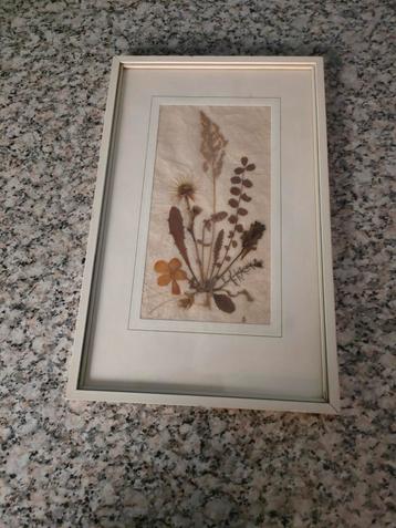 Schilderij droogbloemen! beschikbaar voor biedingen