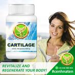 SHARK CARTILAGE, Verzenden, Nieuw, Lichaamsverzorging