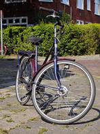 Pointer Espera, 47 tot 50 cm, Ophalen of Verzenden, Gebruikt, Overige merken