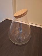 Glazen Terrarium met Kurk - Leeg, Overige kleuren, Ophalen of Verzenden, Minder dan 50 cm, Glas