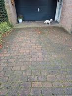 Gratis Oprit Bestrating - Zelf Ophalen!, Tuin en Terras, Ophalen, Gebruikt, Klinkers, 10 m² of meer