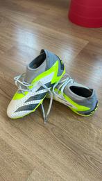 Predator, Adidas maat 37 1/3, Sport en Fitness, Volleybal, Schoenen, Gebruikt, Ophalen of Verzenden