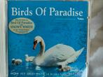 Birds Of Paradise CD - Snowy White, Cd's en Dvd's, Ophalen of Verzenden, Zo goed als nieuw