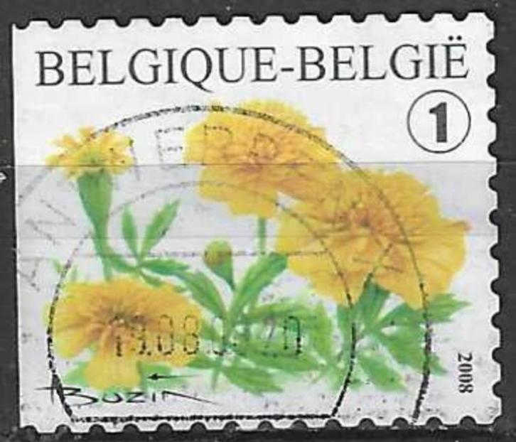 Belgie 2008 - Yvert 3767 /OBP 3785 - Afrikaantje (ST), Postzegels en Munten, Postzegels | Europa | België, Verzenden