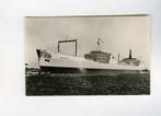 scheepvaart-foto-AMSTERDAM-werf NDSM-borgholm-goedkoop, Verzamelen, Scheepvaart, Ophalen of Verzenden, Zo goed als nieuw, Motorboot