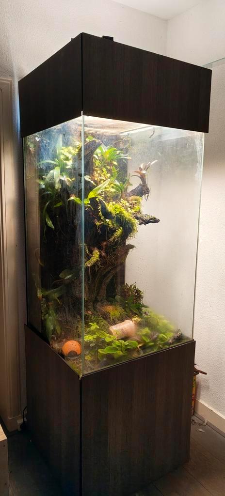Paludarium, Dieren en Toebehoren, Reptielen en Amfibieën | Toebehoren, Gebruikt, Terrarium of Paludarium, Ophalen