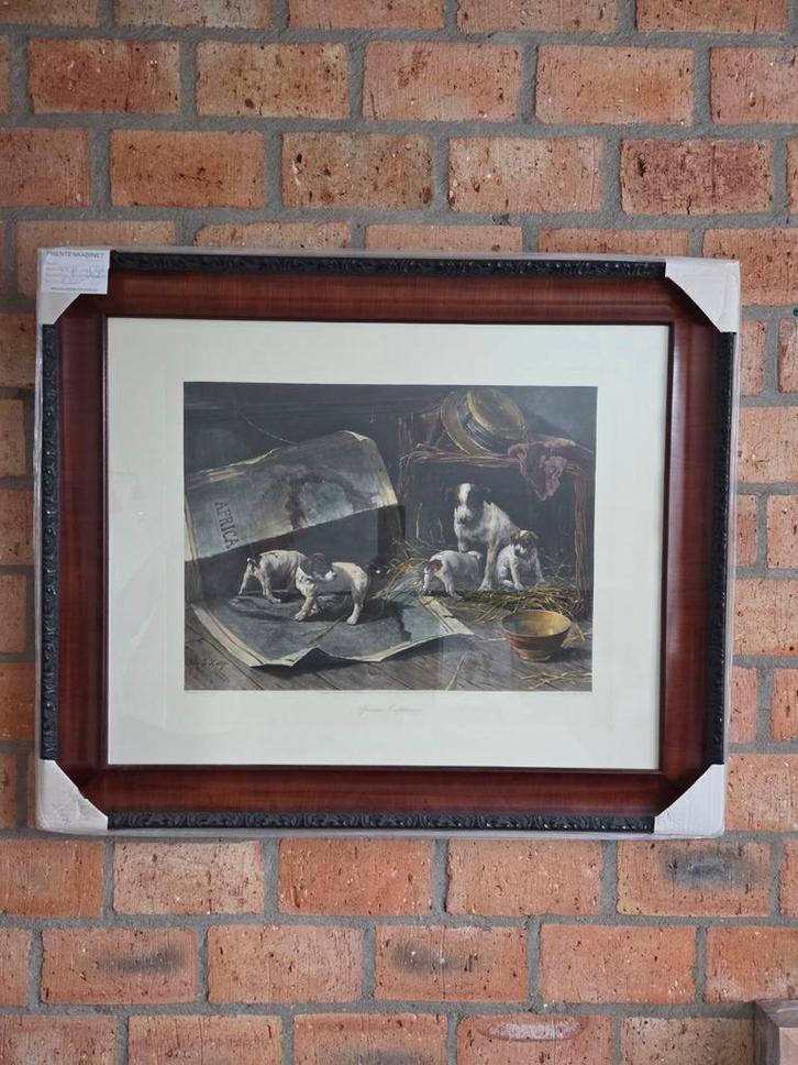 Hand ingekleurde ets van honden, Antiek en Kunst, Kunst | Etsen en Gravures, Ophalen