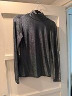 Zilveren glitter kol, Kleding | Dames, Tops, Ophalen of Verzenden, Zo goed als nieuw, Grijs, Lange mouw