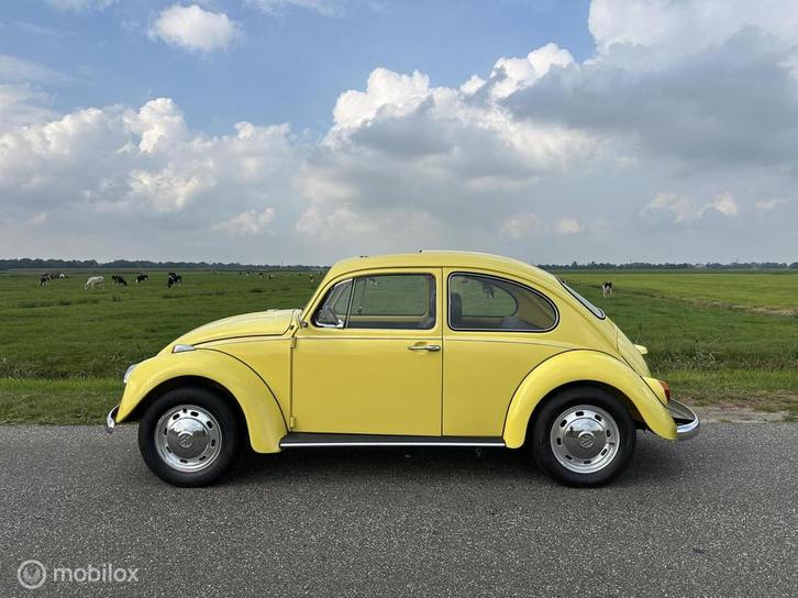 Volkswagen Kever 1200 texasgelb met schuifdak!, Auto's, Oldtimers, Bedrijf, Te koop, Volkswagen, Benzine, Overige carrosserieën