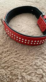 Hondenkussen en luxe halsband voor middelslag hond., Dieren en Toebehoren, Ophalen, Zo goed als nieuw