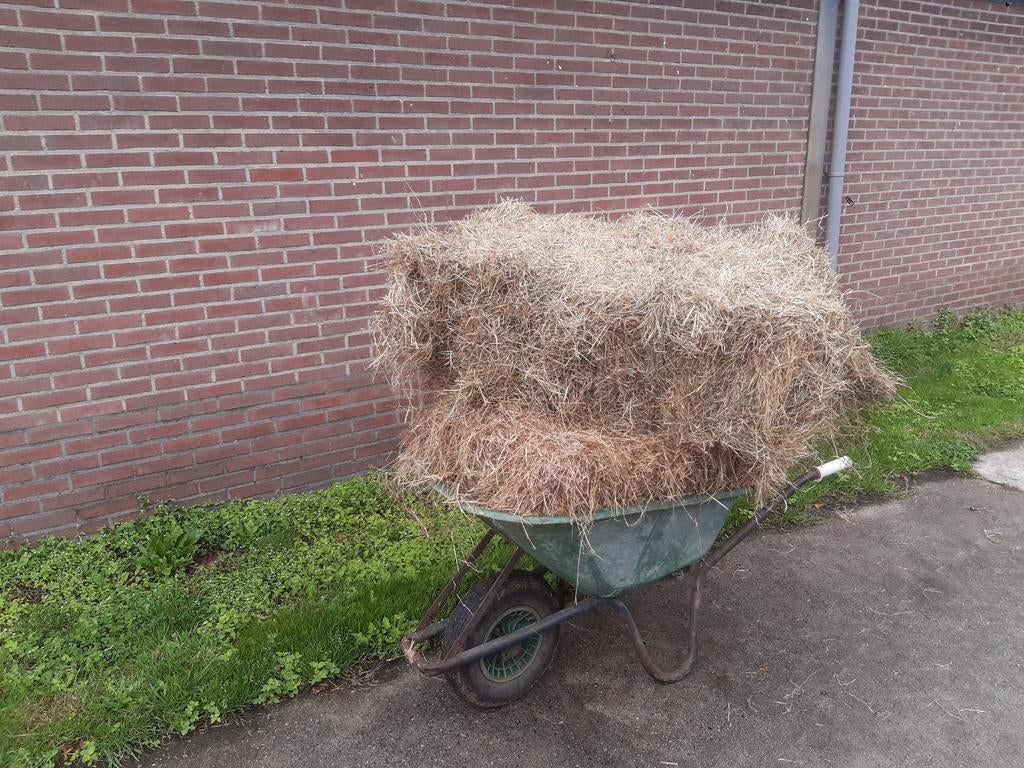 Mooie biologische hooibalen, Ophalen of Verzenden