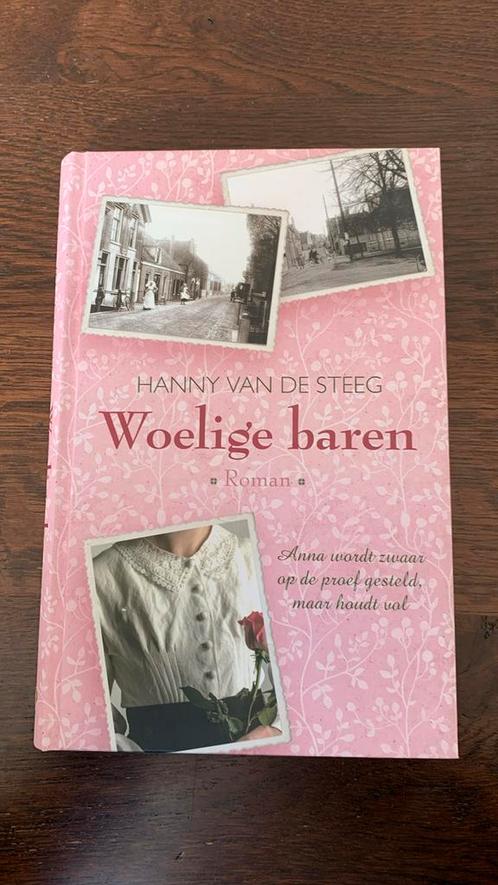 Hanny van de Steeg - Woelige baren, Boeken, Streekboeken en Streekromans, Zo goed als nieuw, Ophalen of Verzenden