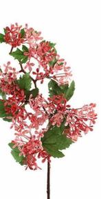 OPRUIMING -PTMD - KUNST - WAX BLOEM - VAN 6 EURO NU 3,50, Ophalen of Verzenden, Nieuw