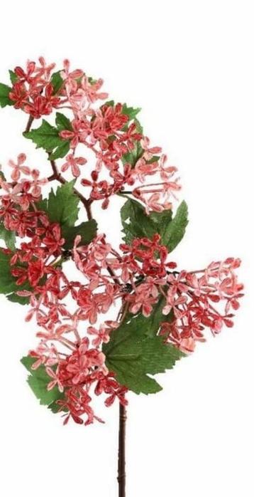 OPRUIMING -PTMD - KUNST - WAX BLOEM - VAN 6 EURO NU 3,50 beschikbaar voor biedingen