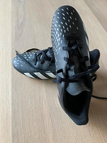 Adidas predator Maat 37 1/3 beschikbaar voor biedingen