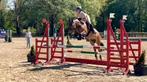 New forest c pony, Tickets en Kaartjes, Eén persoon