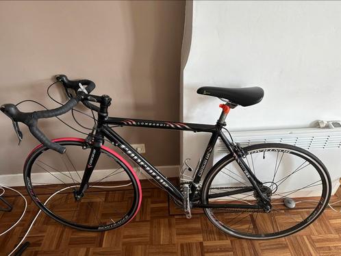 Concorde Racefiets, Fietsen en Brommers, Fietsen | Racefietsen, Gebruikt, Overige merken, Carbon, 53 tot 57 cm, Ophalen