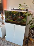 Aquarium 90 liter, Dieren en Toebehoren, Vissen | Aquaria en Toebehoren, Ophalen, Zo goed als nieuw, Gevuld zoetwateraquarium