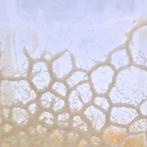 Microwormen & Azijnaaltjes entporties - Levend Voer, Ophalen of Verzenden, Nieuw, Overige typen