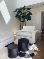 Philodendron (hydrocultuur) met goudkleurige pot, Ophalen, 100 tot 150 cm, Overige soorten, Halfschaduw