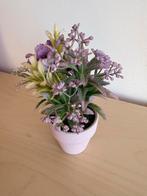 Klein Nep Plantje in Pot, Ophalen, Gebruikt, Binnen